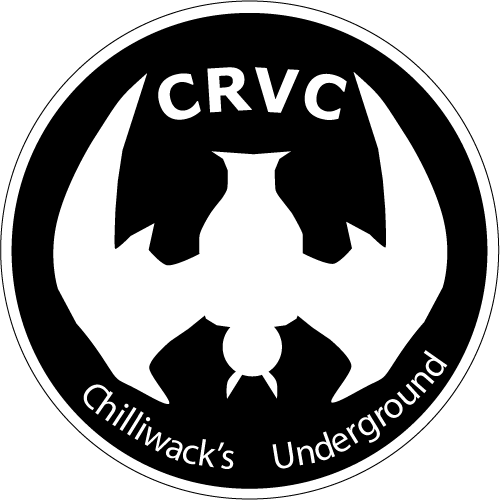 Chilliwack Valley Cavers logo