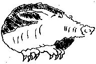 Northern BC Caving Club logo